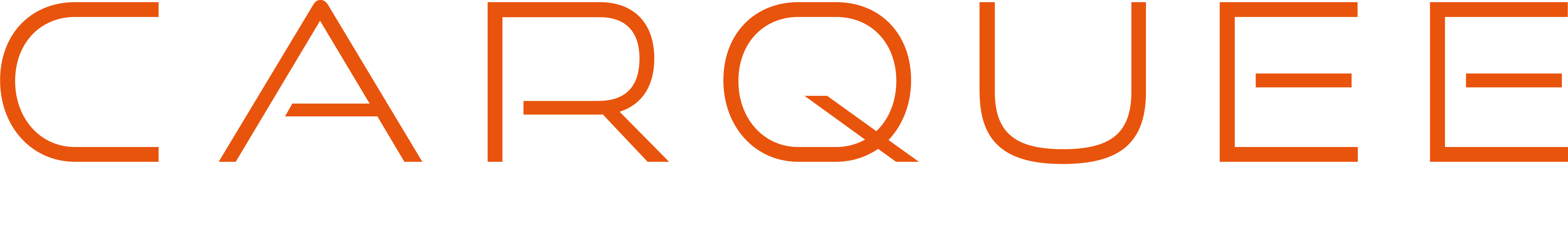 logo main